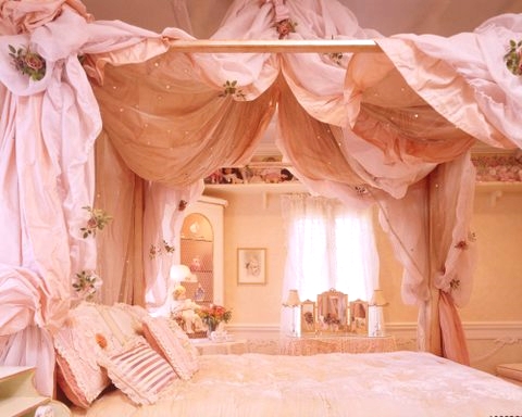 Pink Bed Canopy and Bedding